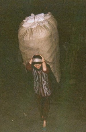 INDIA_10.jpg (25863 bytes)